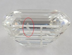 diamond feather inclusion