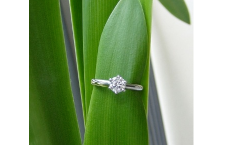 solitaire tiffany like ring setting