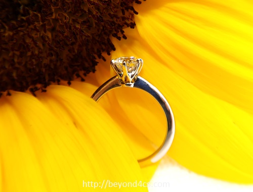 macro photography diamond ring with flower composition