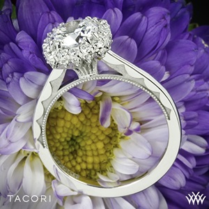 Full Bloom Cushion Halo Solitaire Engagement Ring Design
