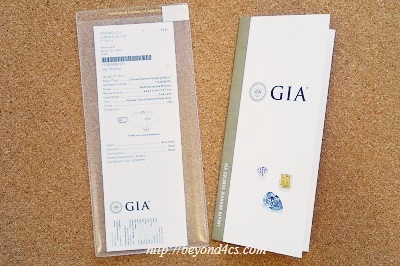 gia report plastic sleeve, stub and receipt