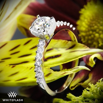 6000 Engagement Ring Top Sellers, UP TO 56% OFF | agrichembio.com
