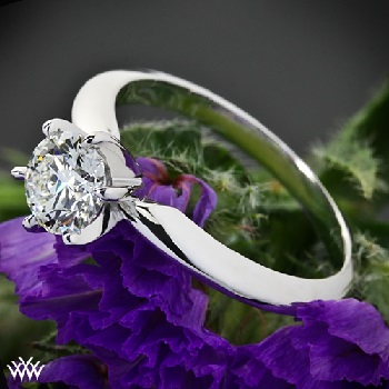 6 prong 18k white gold setting with platinum prongs