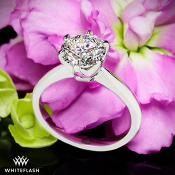 White Gold Diamond Engagement Rings: The Complete Guide